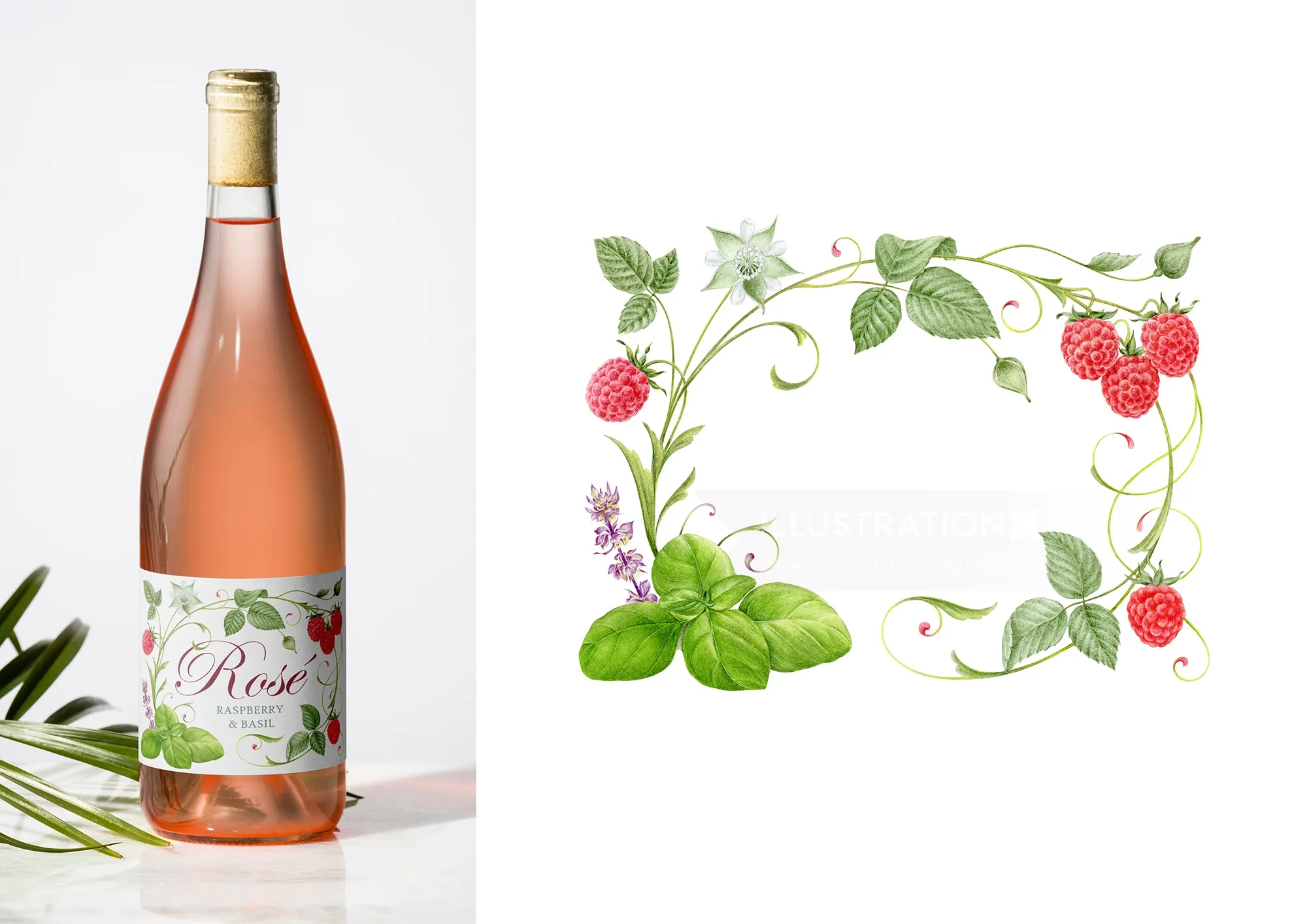 Wine label for Andreas Oster Weinkellerei KG