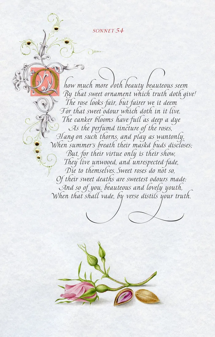 Decorative manuscript page of Shakespeare's Sonnet 54 with floral illustration