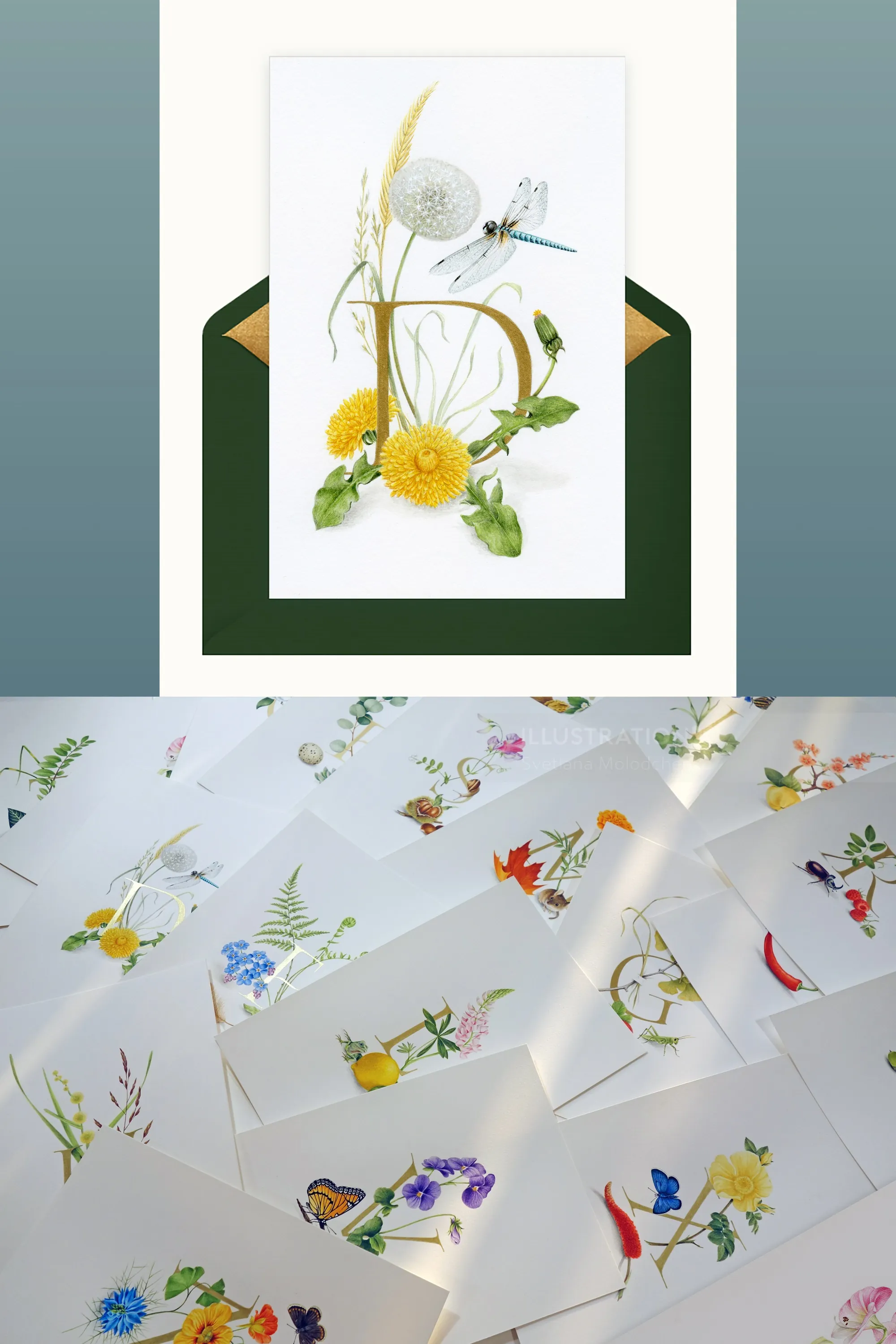 Collection of botanical flower illustrations by Svetlana Molodchenko