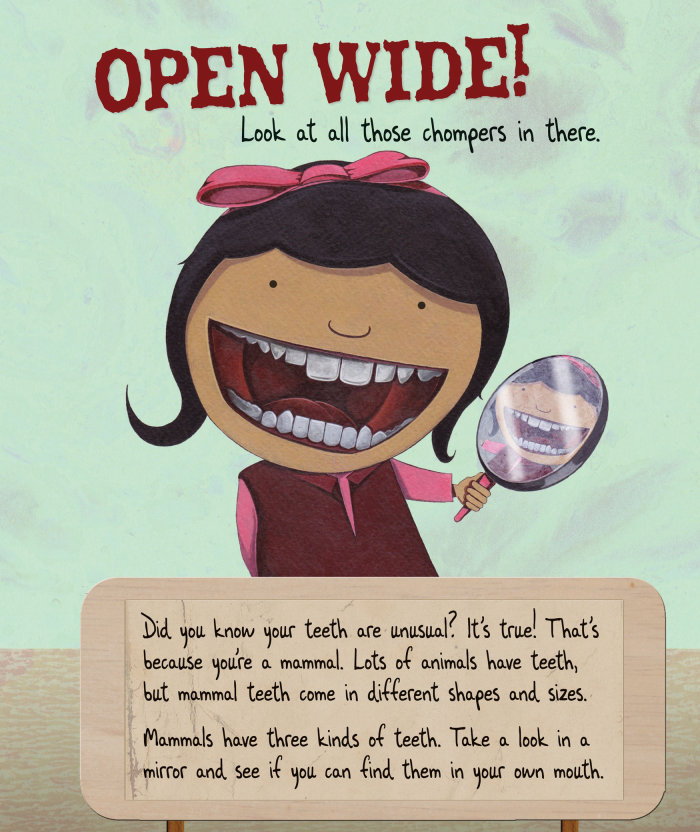张开！，儿童牙齿书籍插图