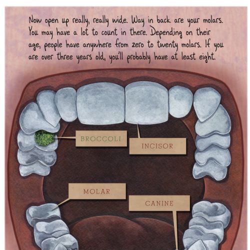 Dental illustration for children's book