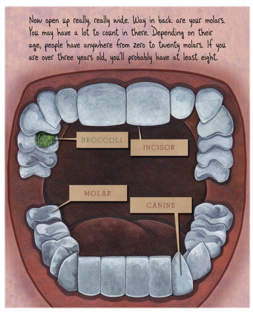 Ilustración dental para libro infantil