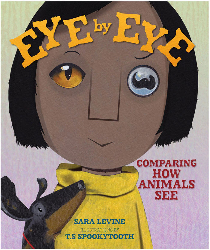 Design da capa do livro Eye by Eye: Comparando How Animals See