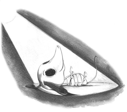 Pencil sketch of dog skeleton