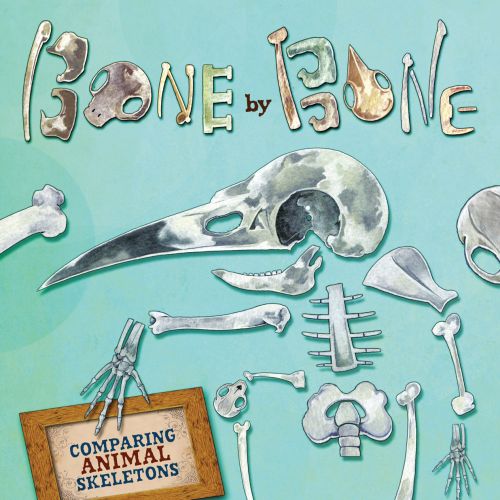 Bone by Bone book cover design