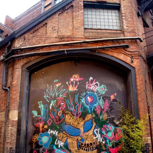 Colorful skull mural with flowers in brick alley by Tallon Live Event Drawing