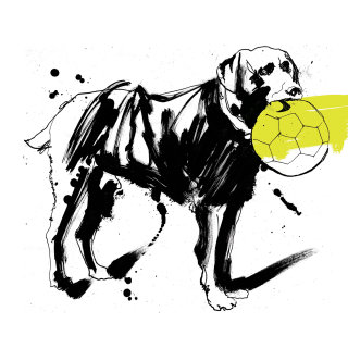 Desenho preto e branco do cachorro Nikey 
