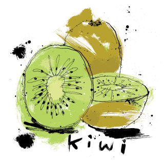 Desenho em aquarela de kiwi