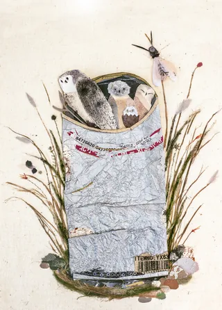 Owls inside a paper bag with plants around it illustration