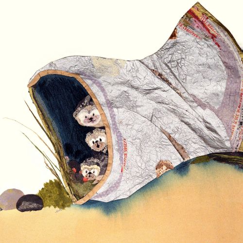 Three baby animals inside hollow tree trunk with rocks and plants