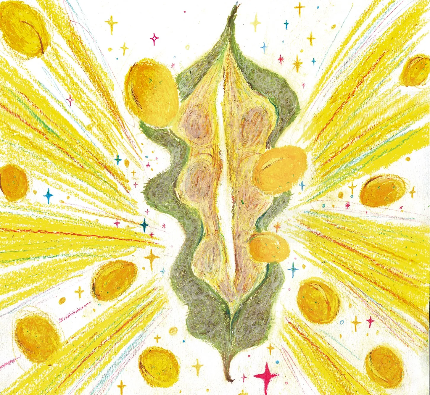 Bursting seed pod with golden seeds and radiant yellow light