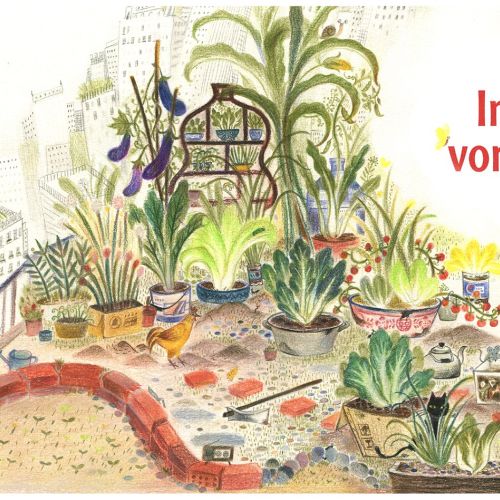 Elderly person tending to plants in a lush garden