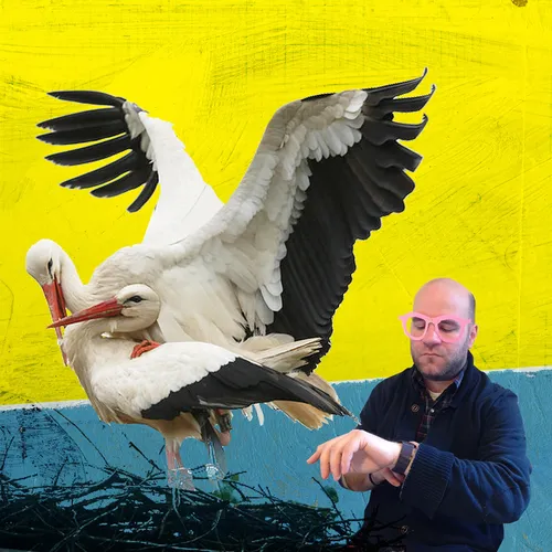 Animation collage of man with whooping crane
