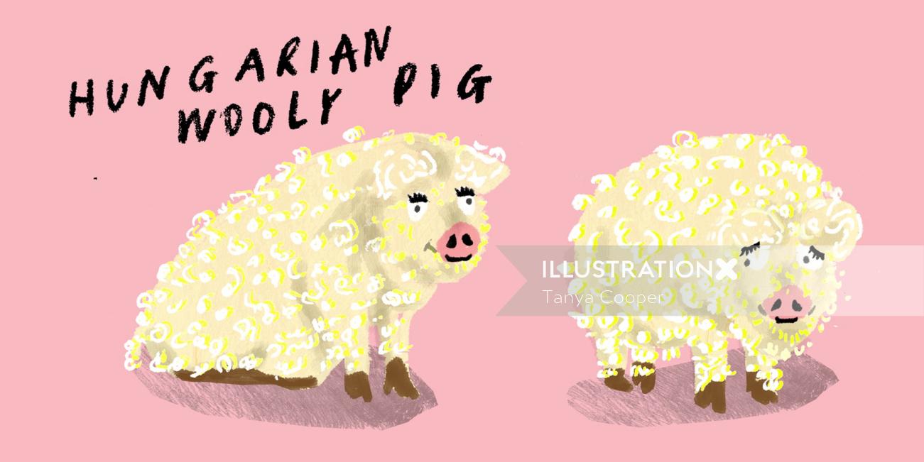 Desenho de porco lanoso húngaro