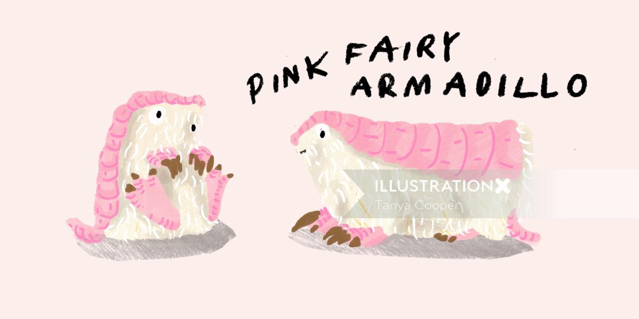 Drawing Pink Fairy Armadillo
