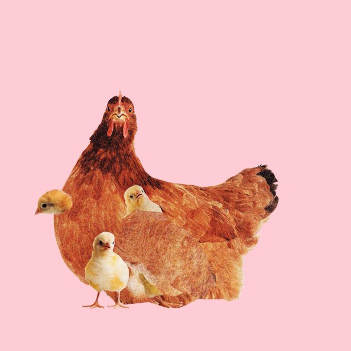 Animation of rooster
