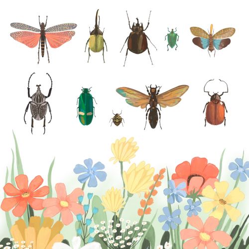 Realistic painting of insects and flowers