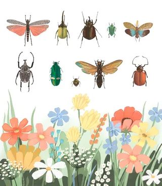 Realistic painting of insects and flowers