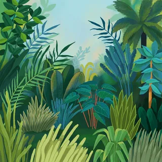 A nature drawing of a jungle