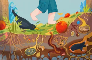 Child walking barefoot on grass with birds and underground insects