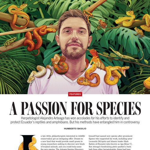 Tavo Montanez Editorial Lifestyle and Culture Illustrator from Mexico