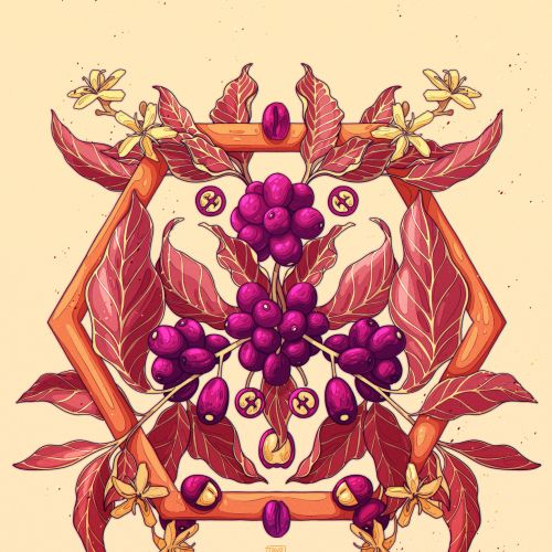 Tavo Montanez Packaging Illustrator from Mexico