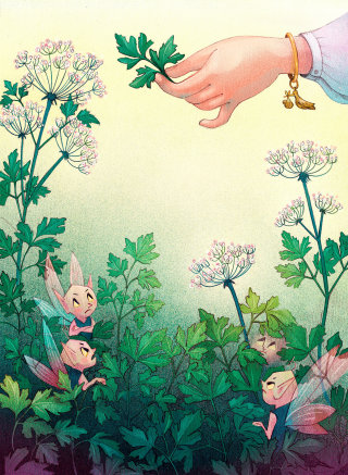 《Prezzemolina：小欧芹女孩》一书的封面插图
