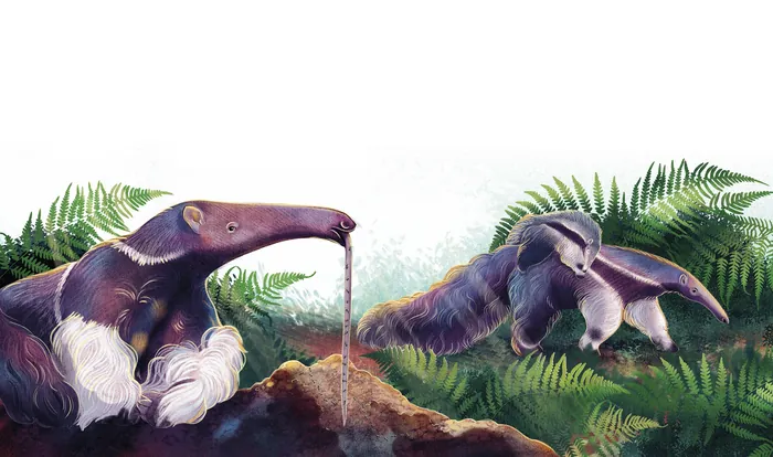 Two giant anteaters near ant mound with ferns background