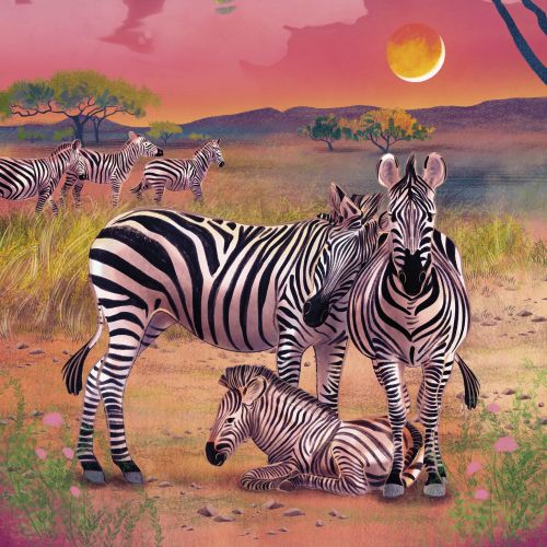 Teresa Alberini Middle Grade Illustrator from Italy