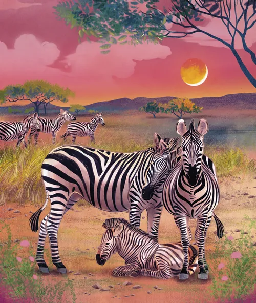Zebras ruhen und stehen bei Sonnenuntergang auf einer Savanne