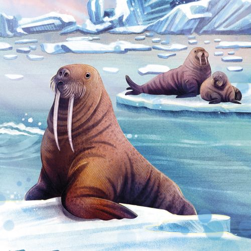 Walruses resting on ice floes in an Arctic icy landscape