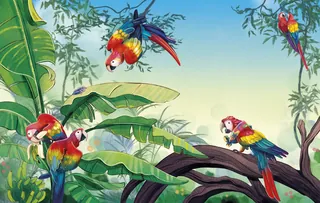 Several colorful macaws flying and perched on tropical plants and branches