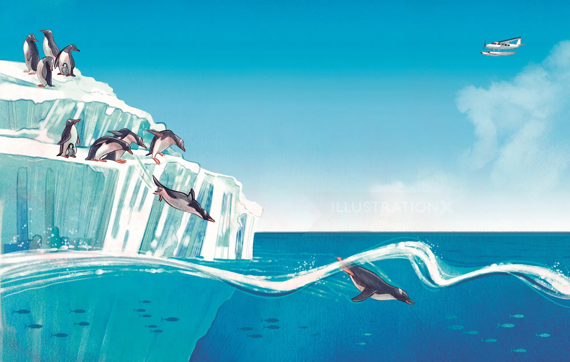 Pinguine, die von einer Eisklippe ins Meer stürzen, von Teresa Alberini