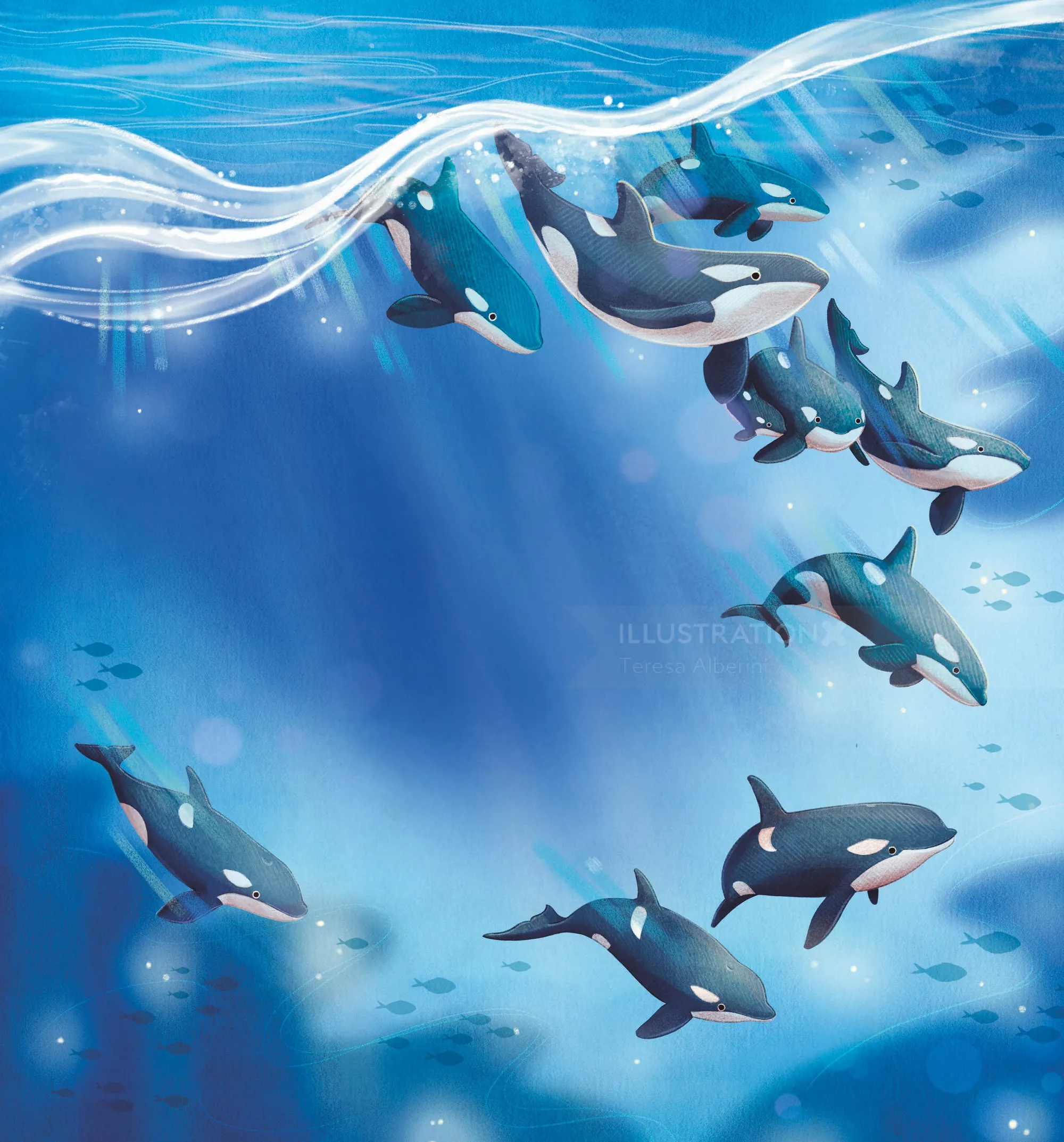 Un grupo de orcas nadando bajo el agua con rayos de luz por Teresa Alberini