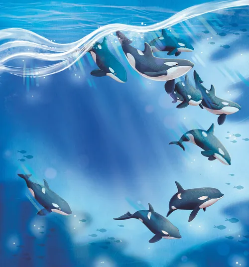 Orca pod swimming underwater with light rays by Teresa Alberini