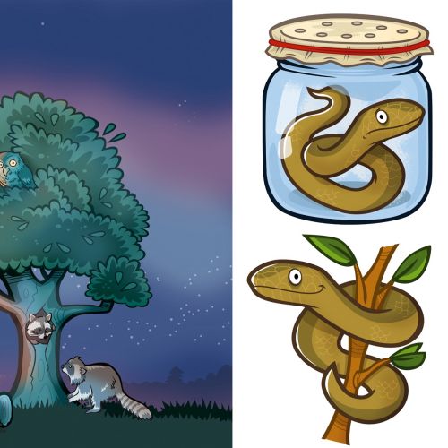 Raccoons by tree at night and snakes preserved in jars illustration