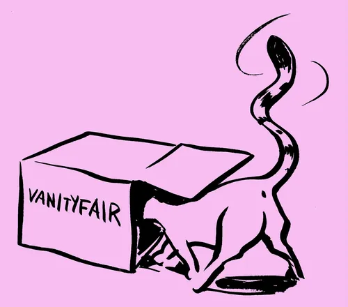 Cat with head inside Vanity Fair box on pink background by Thilo Rothacker