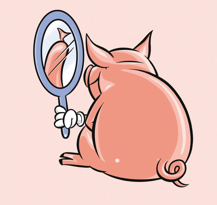 Cochon voyant dans le miroir