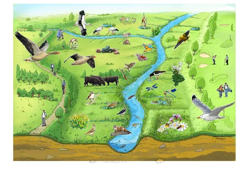 Colorful countryside scene with birds flying, animals grazing, and people walking