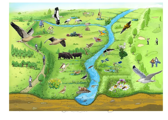 Colorful countryside scene with birds flying, animals grazing, and people walking