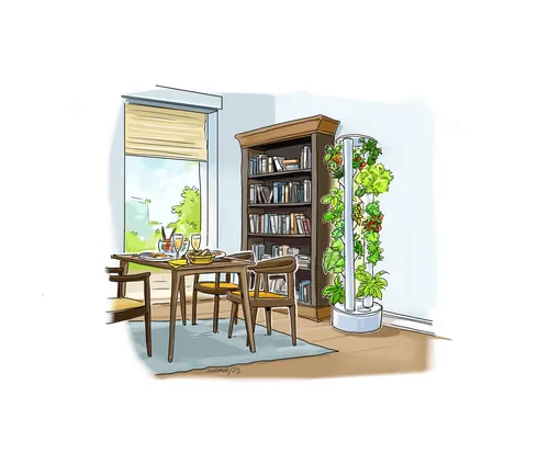 Dining table with chairs, bookshelf, and indoor plants by window