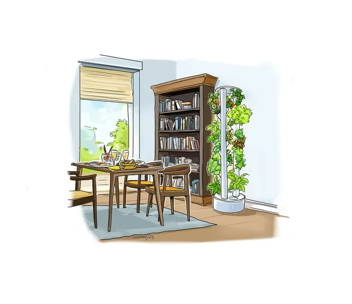 Dining table with chairs, bookshelf, and indoor plants by window