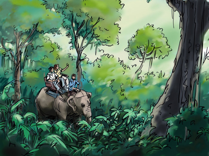 people travelling on the elephant in the forest, jungle with animals, Green trees and blue sky