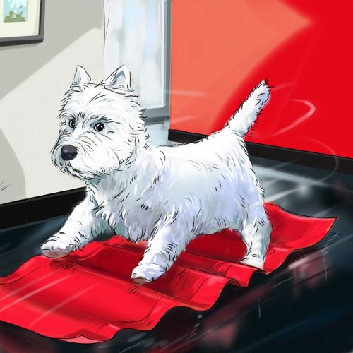 Small dog on a door mat, heavy wind pushing the animal, red cloth on the floor