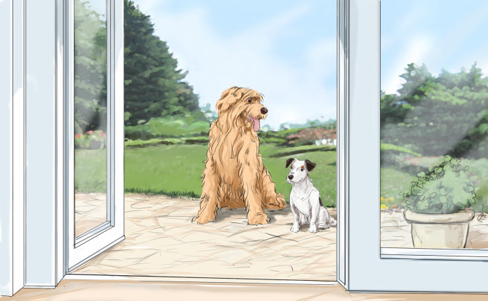 Gros chien brun et petit chien blanc et noir assis dans le jardin