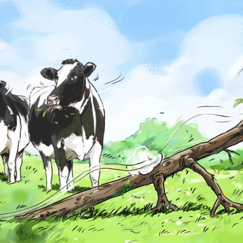 illustration of cows grazing in a field