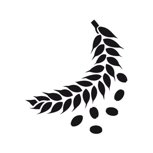 Line illustration of leaf