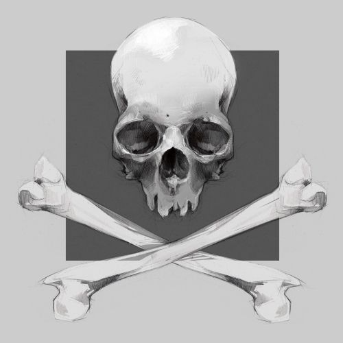Pencil illustration of skull by Timo Muller