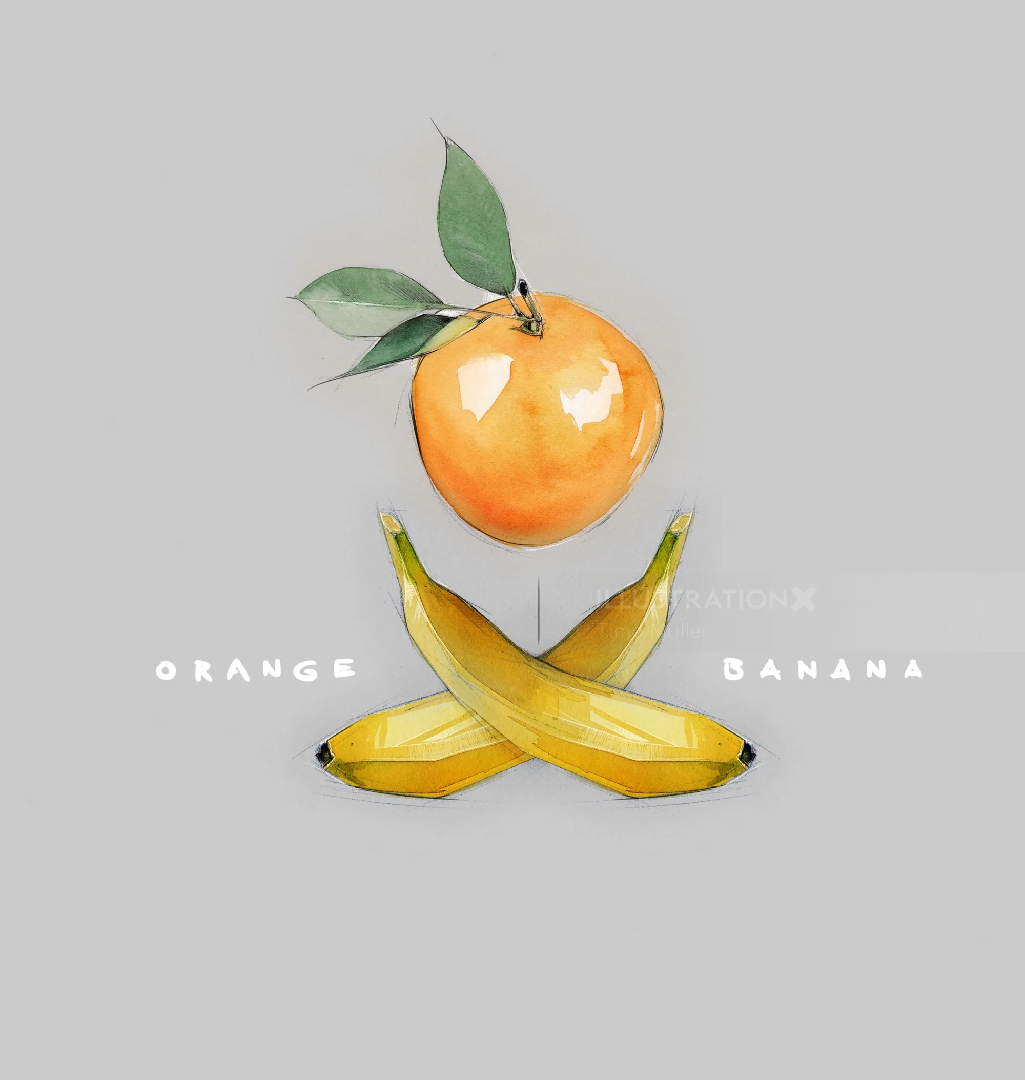 Watercolor fruit illustration of an orange with leaves and crossed bananas by Timo Müller