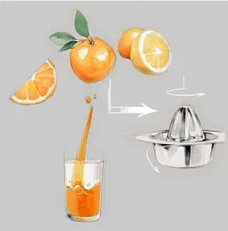 Illustration of orange segments, glass of orange juice, and citrus squeezer by Timo Müller